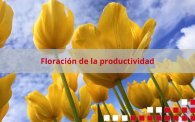Floración de la Productividad: Cómo la primavera puede mejorar tu rendimiento.